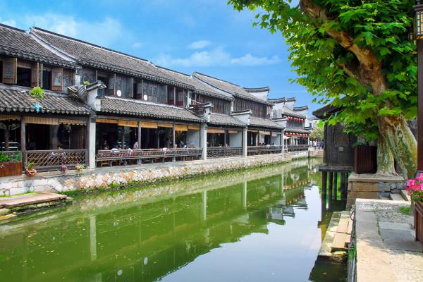 焦泊乔23分广州战胜青岛,杨瀚森的被保护使用是CBA的进步